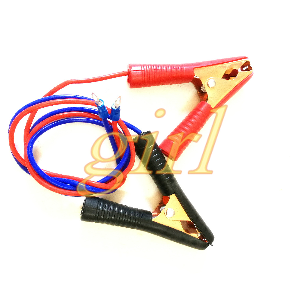 Battery capacity tester, elect - Battery Load Tester review and price